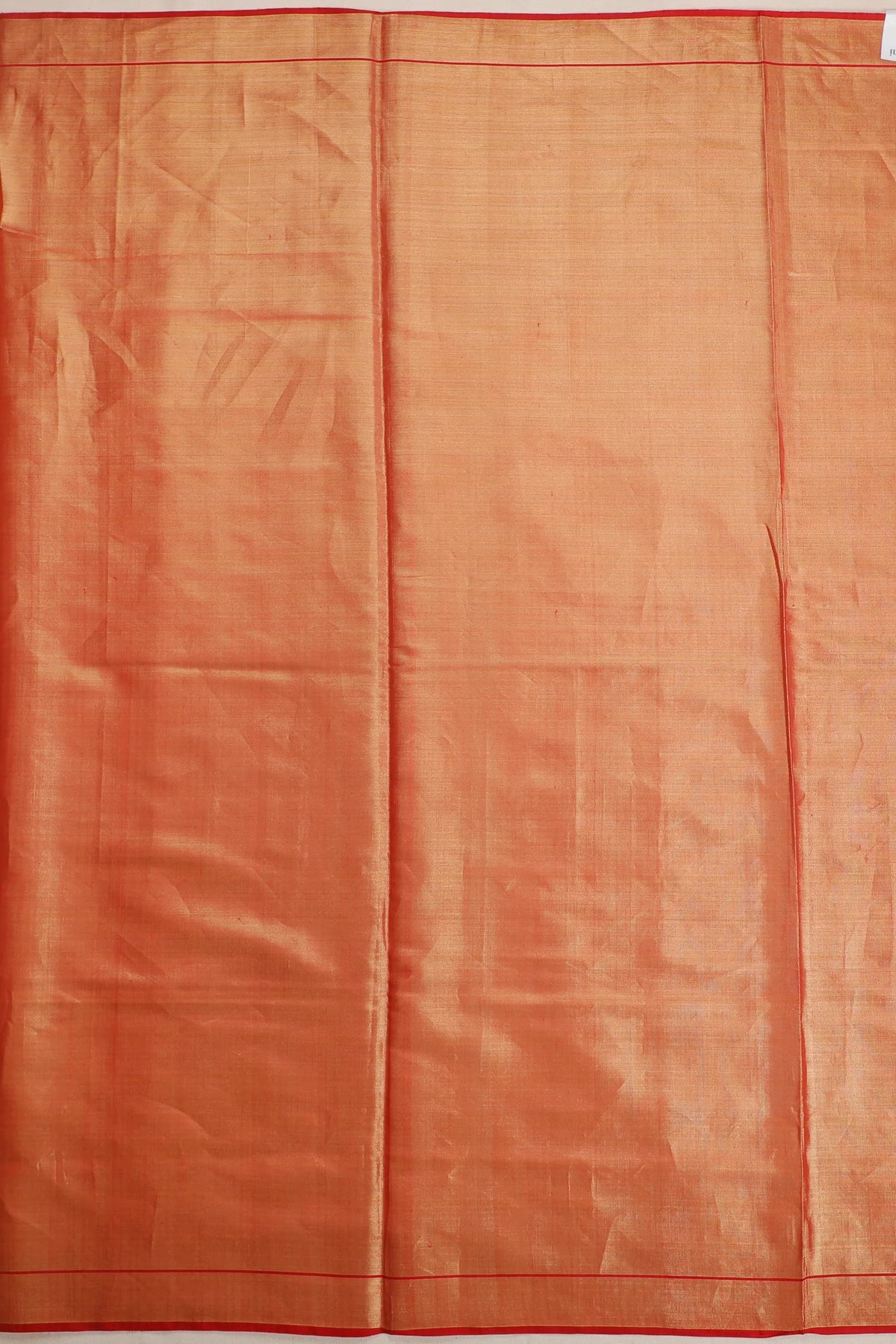Blue Pure Silk Handloom Tissue Rajkot Patola Saree